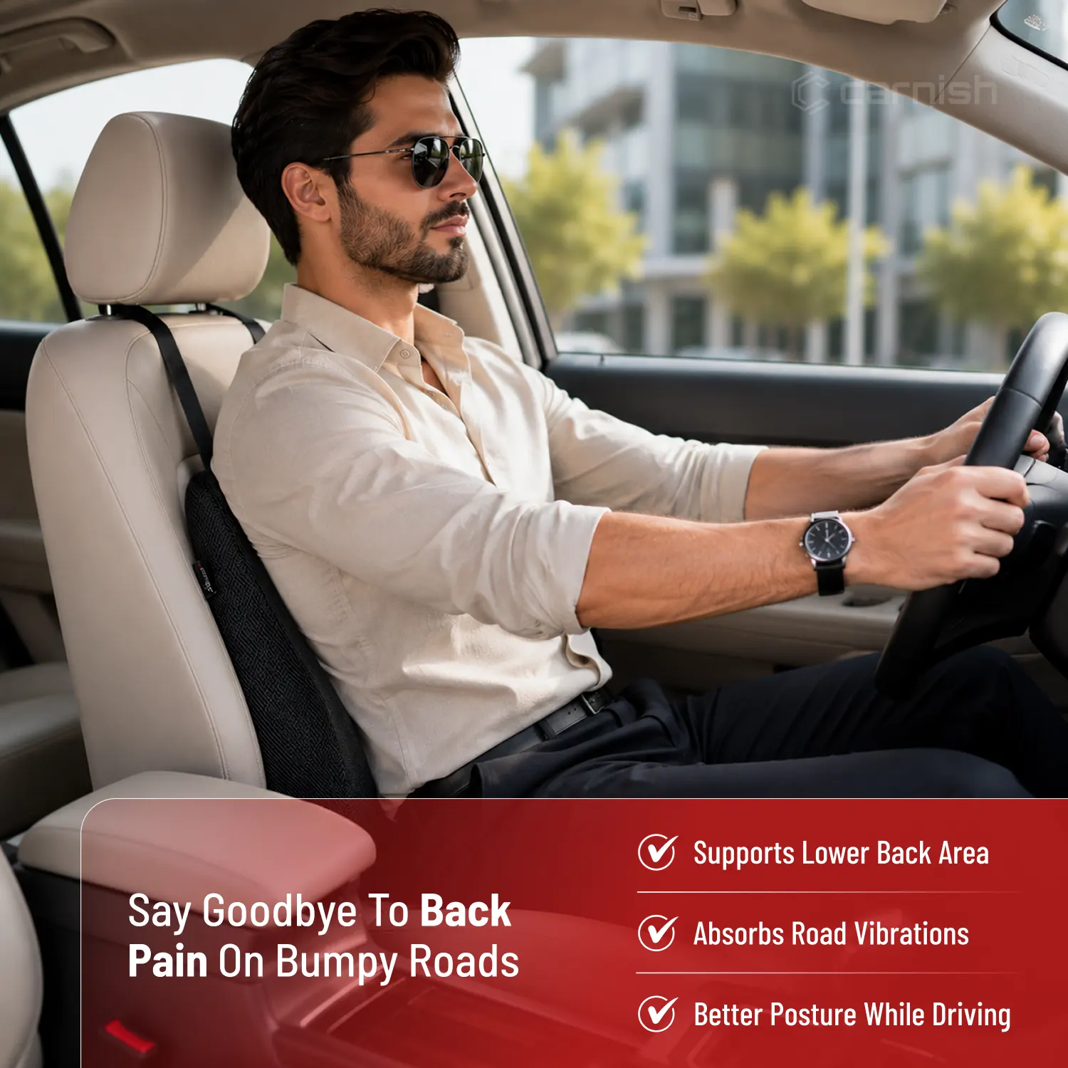 Home - 02 carnish ultimate car backrest cushion